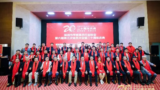 yp电子科技受邀参加深圳市平板显示行业协会（SDIA）第六届第四次理事会、第六届第三次会员大会暨二十周年庆典